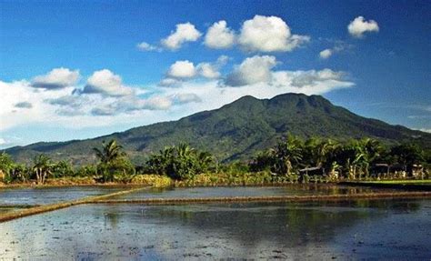 Mount Makiling .